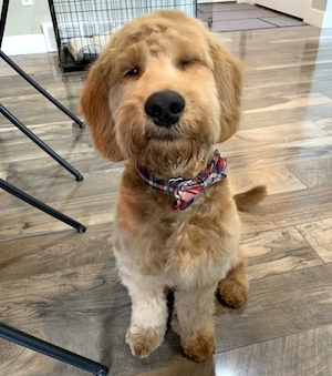 Winston looking goofy
